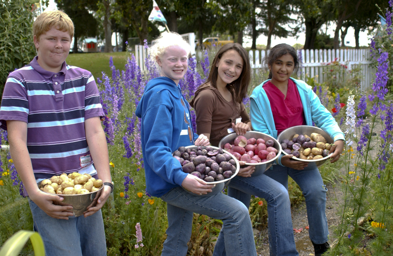 school-garden-9700